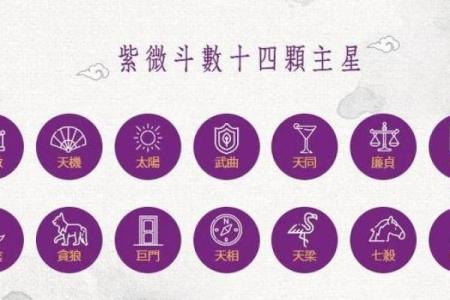 紫微斗数中，天同星的性质和含义