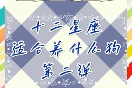 生肖狗摩羯座男的性格特点以及配对解析