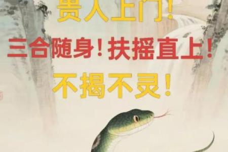 算命6月蛇好不好