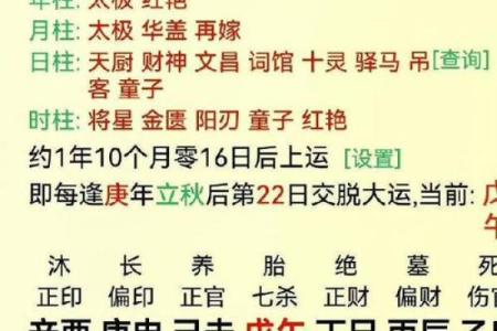 命中八字财库查询