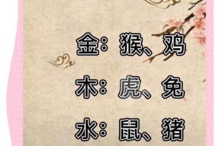 属猪的和什么属相配对好