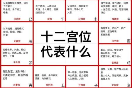 紫薇斗数四正位