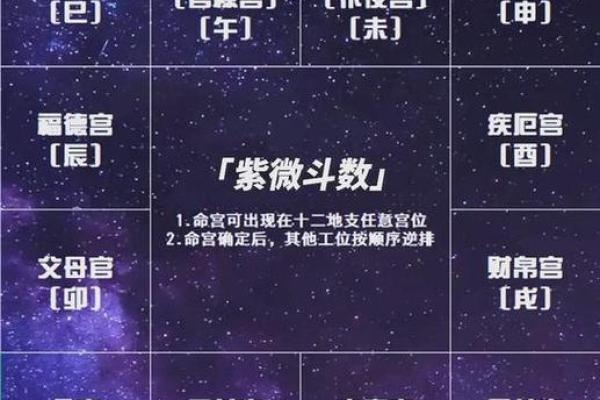 紫薇斗数子女宫巨门化忌