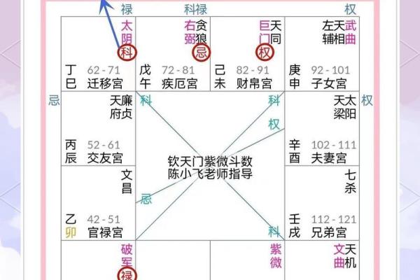 紫薇斗数 命盘是怎么看