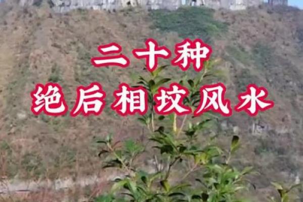 坟墓风水，把握这些后代定富贵