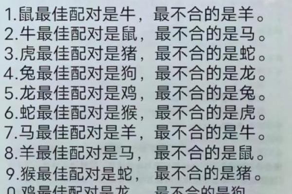 属马的女人和属牛的男人配吗 情感配对深度分析