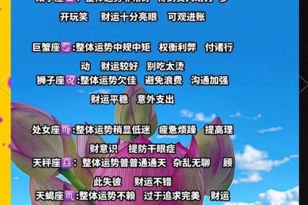 十二星座未来十七天运势