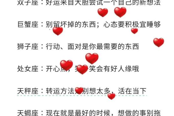 十二星座未来十七天运势