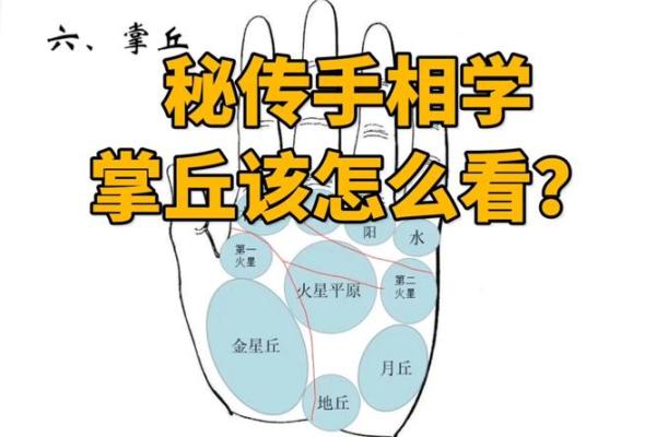 《手相学习百科》：掌丘