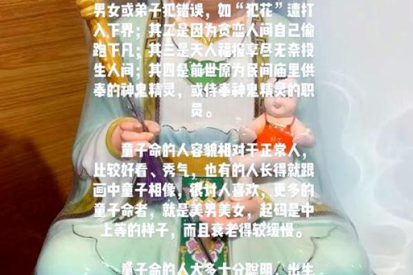 童子命算命