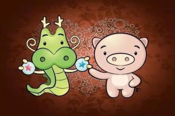 婚姻配对属龙和属猪姻缘怎么样