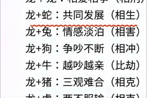 婚姻配对属龙和属猪姻缘怎么样