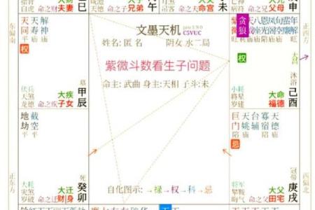 紫薇斗数子女宫巨门化忌