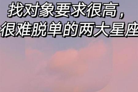 被催找对象了？建议你爱上这些星座
