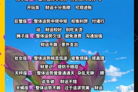 十二星座未来十七天运势
