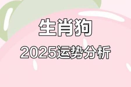2025年11月30日哪个方位财运好