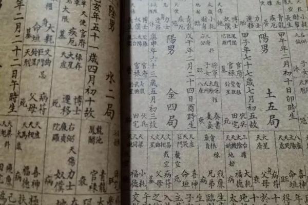 紫薇斗数生子