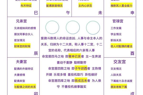 紫薇斗数三合位