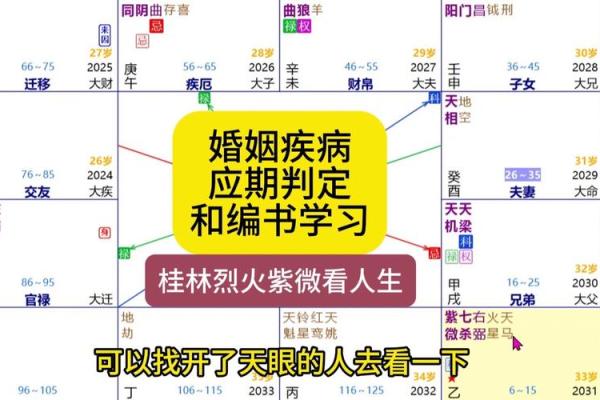 紫薇斗数看婚期案例