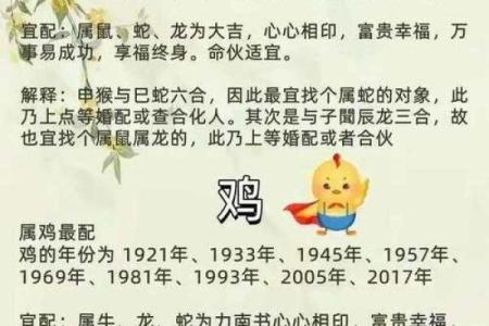 生肖属相配对表 十二生肖属相配对表