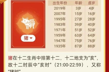 属猪是哪一年出生的 属猪的男孩出生吉日
