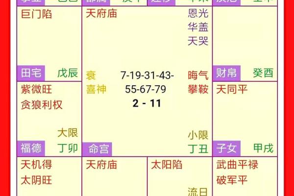 紫薇斗数大田宅