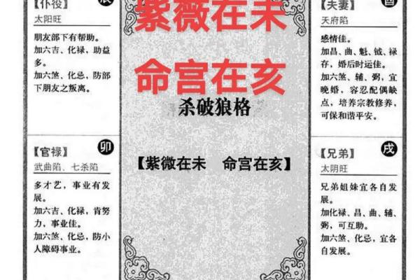 紫薇斗数子时按亥时