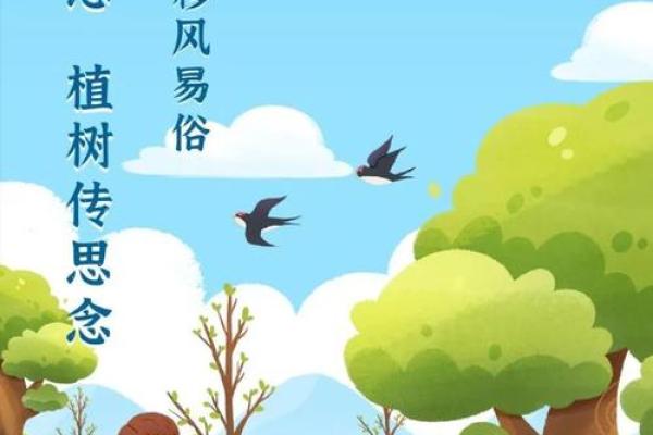 我们的节日：清明节气，做什么