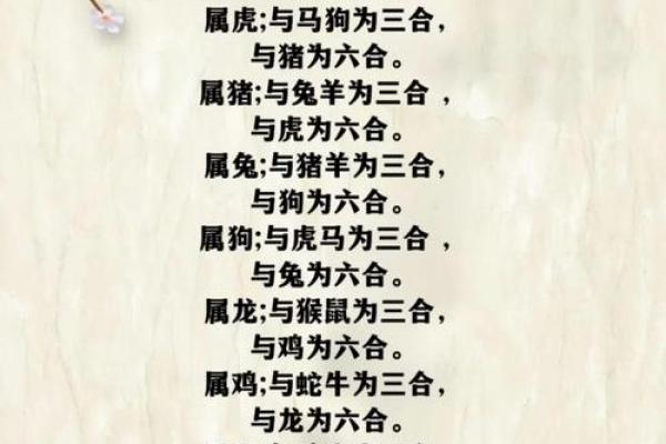 鼠属十二生肖之首黄金配对无人敌