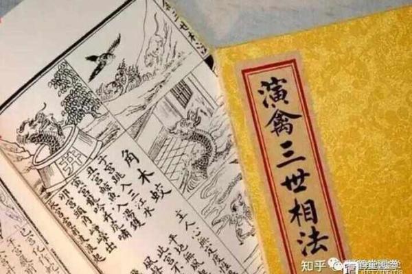 八字子息