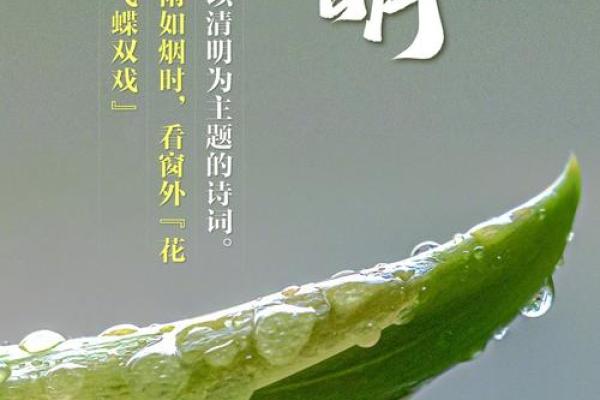 四月五号是什么节日