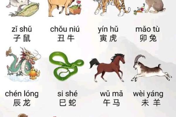 生肖鼠与十二生肖配对情况