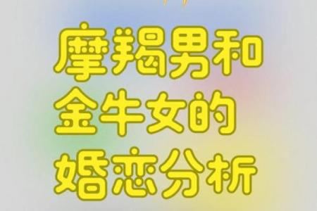 金牛座男偏爱什么星座女生 与金牛男交往的大忌
