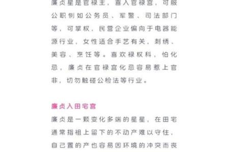 最像廉贞星的星座男生是谁呀视频