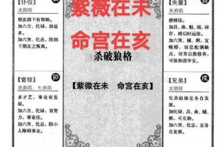 紫薇斗数子时按亥时