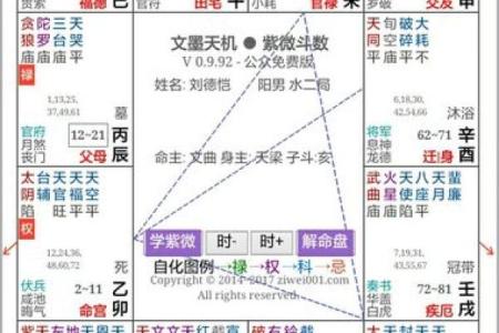 紫薇斗数是按虚岁