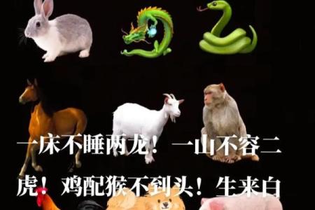 生肖配对，是什么道理？啥属相不合？终于明白了