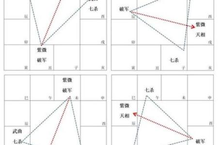 紫薇斗数看一个人能否掌权