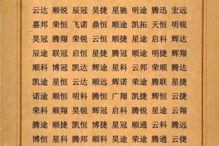 商贸公司名称大全-名字大全姓名