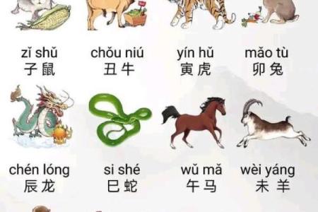 生肖鼠与十二生肖配对情况
