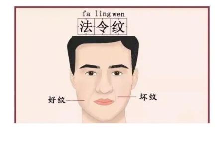 从法令纹看相算命