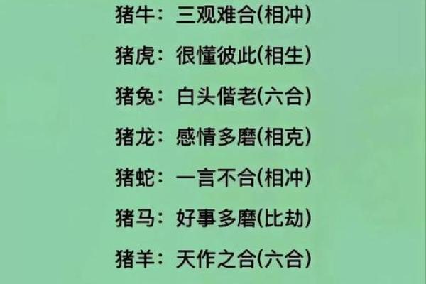 属龙的生肖配对