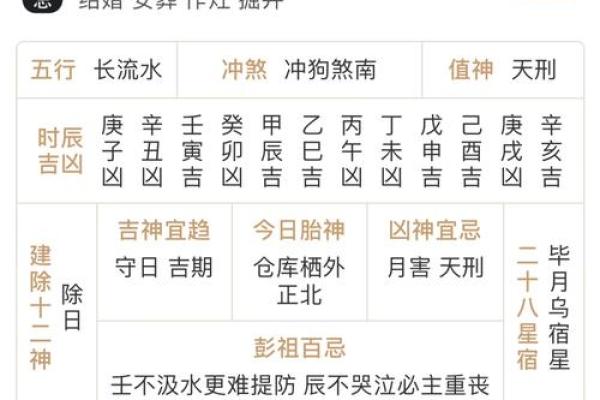 属猪的财神方位