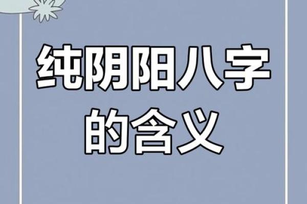 八字两个纯阳人在一起,纯阳八字百年难遇