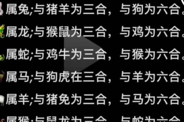 周易中属什么生肖？解析周易生肖配对
