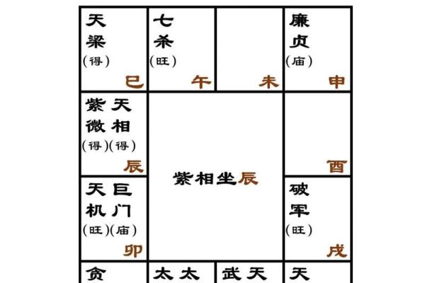 紫微斗数：天机星