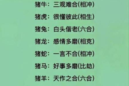 属龙的生肖配对