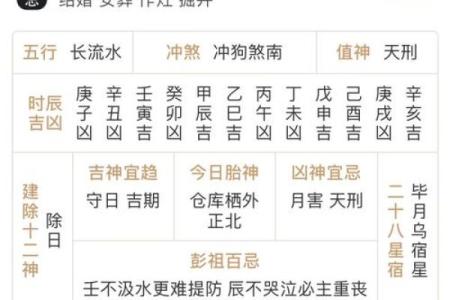 属猪的财神方位