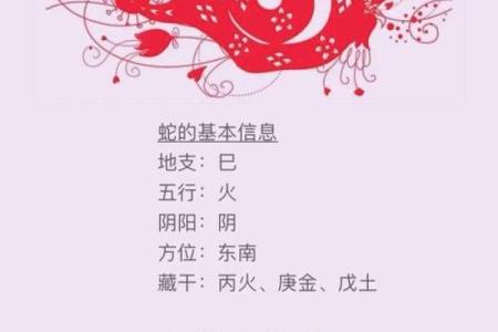 周易中属什么生肖？解析周易生肖配对