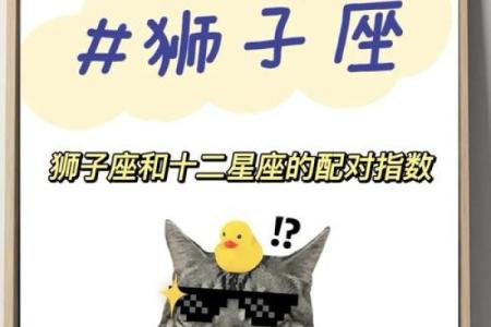 狮子座最佳配对第一名,男双鱼座女狮子座配对指数